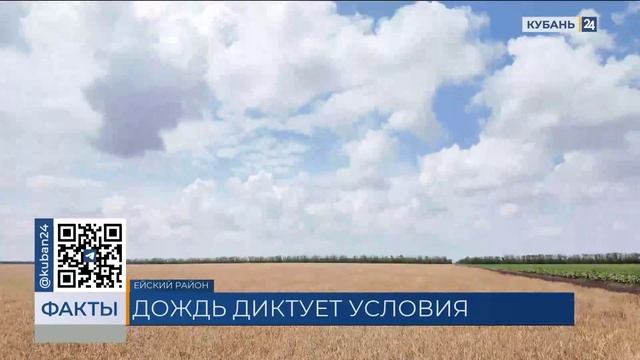 ЧС из-за засухи ввели в восьми районах Краснодарского края