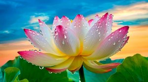 ОЧЕНЬ КРАСИВАЯ УМИРОТВОРЯЮЩАЯ МУЗЫКА ДЛЯ РЕЛАКСАЦИИ 🎵 УСПОКАИВАЮЩАЯ МУЗЫКА ДЛЯ СНА И МЕДИТАЦИИ