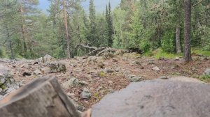 Ушли ВДВОЕМ в КАМЕННЫЙ ДОМ - КАК ДОЛГО ЗДЕСЬ МОЖНО ПРОЖИТЬ? Хроники КАМЕННОГО ДОМА в горах