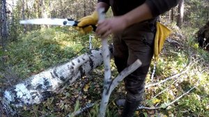 ДОМ НА ДЕРЕВЕ | ЧТО ВЫРОСЛО ИЗ ПОСАДОК | УТЕПЛЕНИЕ СТЕНЫ | ВОЗВРАЩЕНИЕ СПУСТЯ ДОЛГОЕ ВРЕМЯ