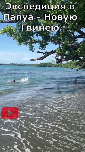 218. Прыжки в воду с дерева. Залив Астролябия