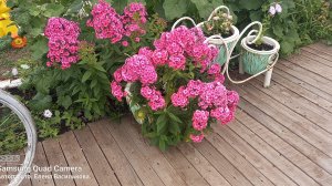 СП Вяжем летом//Приглашение в проект
