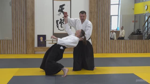 Айкидо, «Каеши вадза» техника противодействия приёмам и контратака.