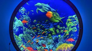 Панно Иллюминатор 100см - зрительная стимуляция | сенсорные комнаты и развивающие центры