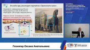 Гизингер О.А. Эпидемиологические особенности и патогенетические иммунные механизмы бруцеллеза