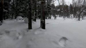 КАМЕННЫЙ ДОМ и ЛЕСНАЯ ИЗБА НА ЛЫЖАХ В РАЗГАР ЗИМЫ