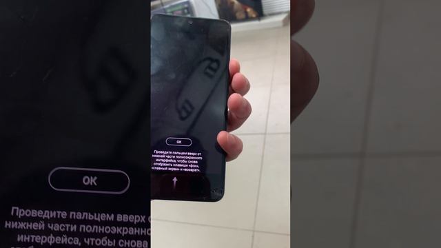 Виво