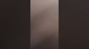 Приключения камера мэна и сражение шкатулок