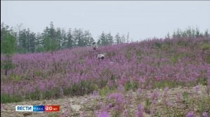 09:30 ВЕСТИ САХА 16/06/25 НА ЯКУТСКОМ ЯЗЫКЕ