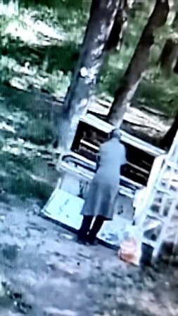 Женщина в Вязниках ломает старое пианино в Ярцевском парке