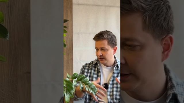 Какой подход, такой результат. Как делать лучшую сантехнику