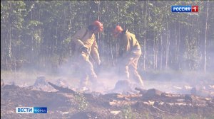 Высокая и чрезвычайно высокая пожарная опасность на севере Коми  ожидается в июне