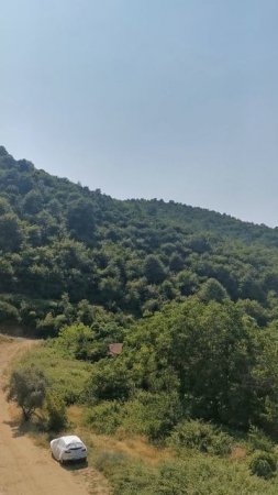 Ждем цветение пионов, роз и отдыхаем на море. 16.06.2025