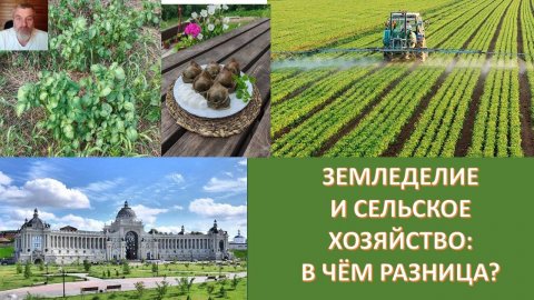 ЗЕМЛЕКОП, ЗЕМЛЕМЕР, ЗЕМЛЕВЛАДЕЛЕЦ - ПОНЯТНО, О ЧЁМ РЕЧЬ. А КТО ТАКОЙ ЗЕМЛЕДЕЛЕЦ? ЗАБЫТЫЕ СМЫСЛЫ