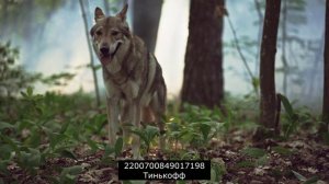 Очередные перлы от МБА и других