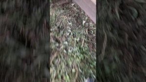 1000019554.mp4