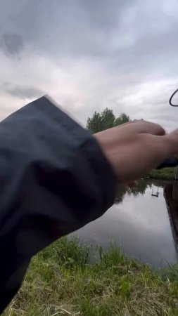 Неправильный голавль на Jackal Chubby 41 SSR #jackall #fishing #japan #new #newvideo