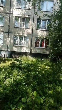 Гусеницей ползу в жарищу