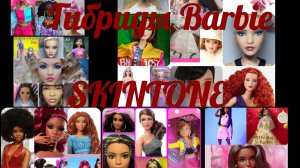 Как подобрать скинтон? Гибриды Барби