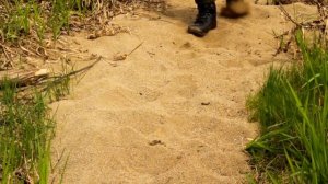 ДИКАЯ КУХНЯ - РЫБА ВО МХЕ | ЗАБЫТЫЙ РЕЦЕПТ