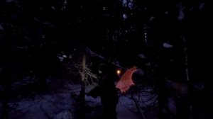 КОГДА НАСТУПИТ НОЧЬ | ХРОНИКИ ЗИМНЕГО ЛЕСА