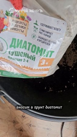 🌿Мошки, чем они опасны и как с ним бороться #shelestsad