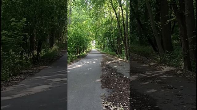 Природа лесопарка Крцаниси (Природный заповедник Поничала) 30.05.2025
