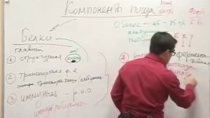 Лекция 2  Как правильно питаться. Белки
