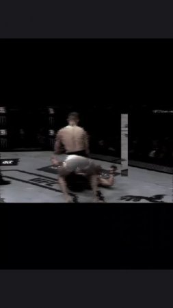 Conor McGregor ufc.