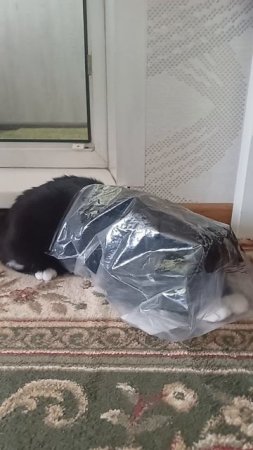 "Кто не спрятался, я не виноват))"