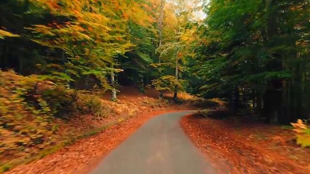 Самые красивые места на планете для любителей природы, смотри