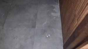 Двухмодульный дом 35 кв. м. с террасой 34 кв.м.