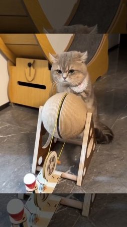 Корм тоже надо отрабатывать