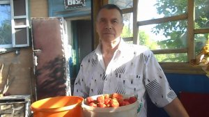ПРОПОЛКА.УДАЧНЫЙ СБОР КЛУБНИКИ