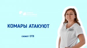 Комары атакуют