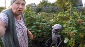 ыыы ыыы бабки чек