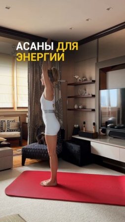 Йога для начинающих