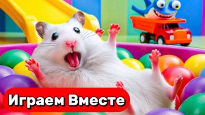 Лабиринт для умного Хомяка ! Выбираемся вместе через полосу препятствий с ЛОВУШКАМИ !