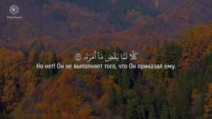 Сура 80 Абаса (Нахмурился) С ПЕРЕВОДОМ