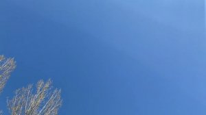 Конкурс чтецов. Фетисенко Владислава 6 лет