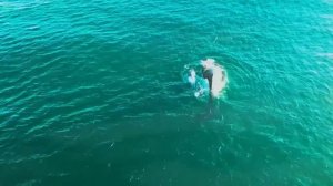 Portugal. The Man - Feel It Still