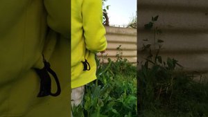 VID_20250616_194220.mp4