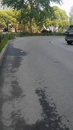 Иду к своим