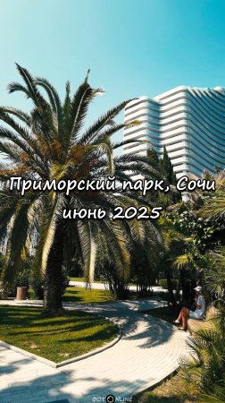 Приморский парк, Сочи. Июнь 2025