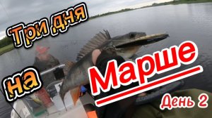 Три дня на Марше. День второй