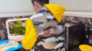 Miss Katy • Мисс Кейт - Переезд