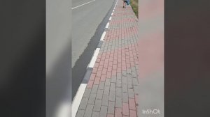 Кабардинка,штормовое предупреждение ⚡Суши Шторм 🌀