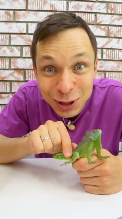 Федя возвращает игуану домой – в зелёные джунгли! 😊🦎 #длядетей #игрушкидлядетей #животныедлядетей