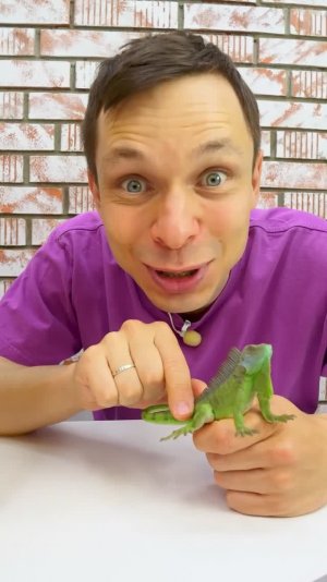 Федя возвращает игуану домой – в зелёные джунгли! 😊🦎 #длядетей #игрушкидлядетей #животныедлядетей