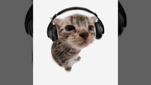 Видео для рабочей тетради